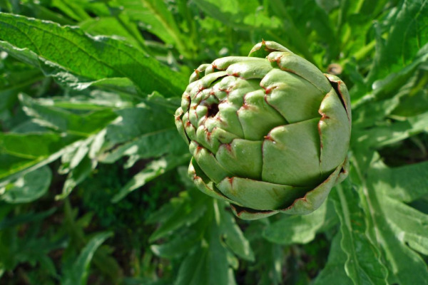 Rus xususiy jinsiy uy video onlayn VKontakte-da Berdyanskda jinsiy aloqa izlayotgan qizlar